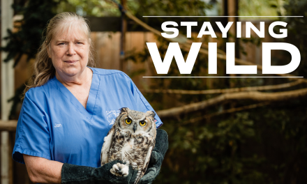 Staying Wild Series Airs on Citytv
