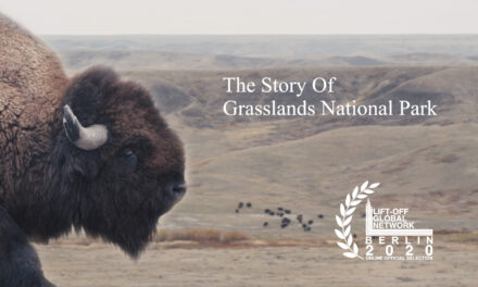 The Story Of Grasslands National Park
