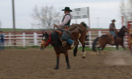 Cowtown Roughstock: Nurturing the Next Gen